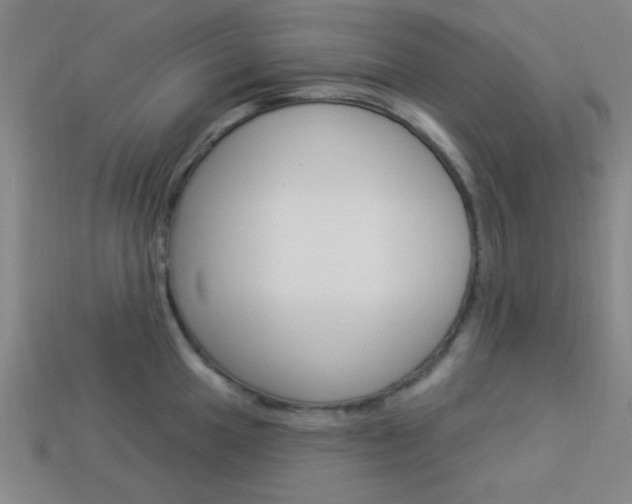 X0000113981049200910020945
