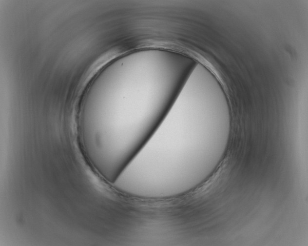 X0000113981050200910020945