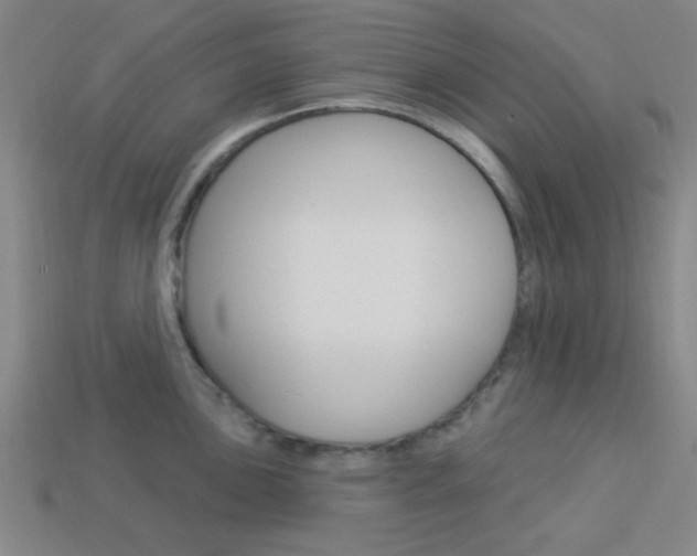 X0000113981051200910020945