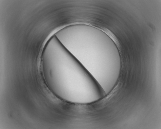 X0000113981052200910020945