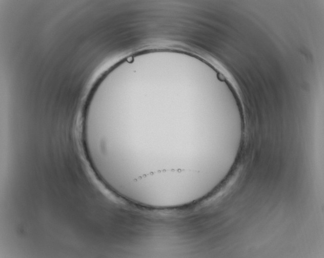 X0000113981053200910020945