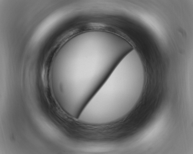 X0000113981054200910020945