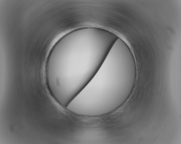 X0000113981056200910020945