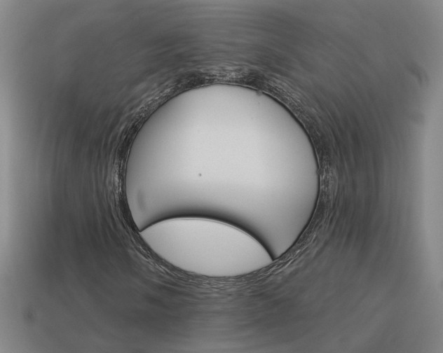 X0000113981058200910020944