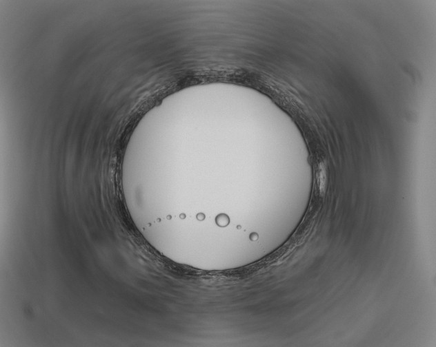 X0000113981059200910020944