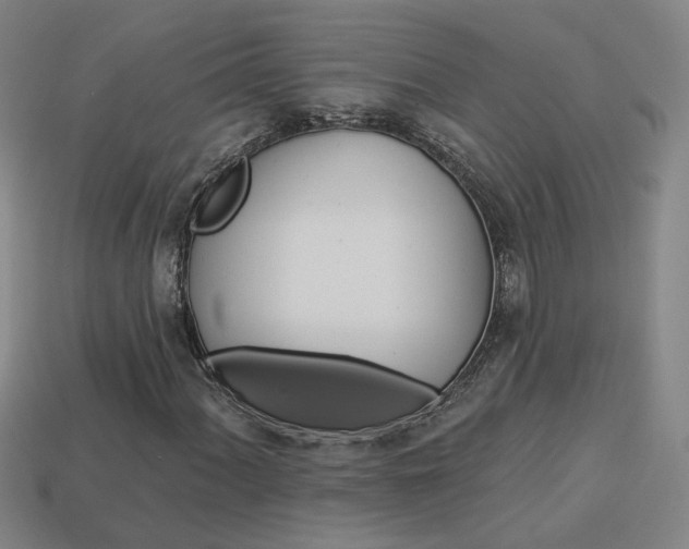 X0000113981060200910020944