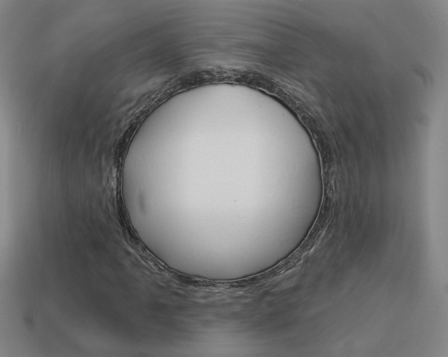 X0000113981061200910020944