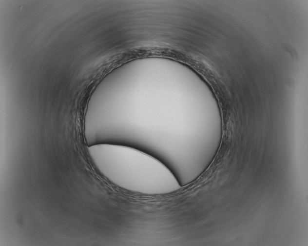 X0000113981062200910020944