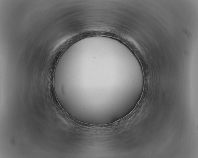 X0000113981064200910020944