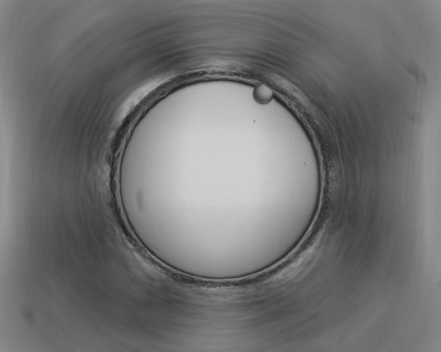 X0000113981066200910020944