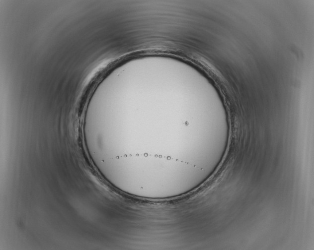 X0000113981067200910020944
