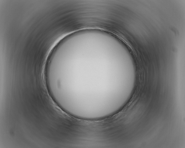 X0000113981068200910020944