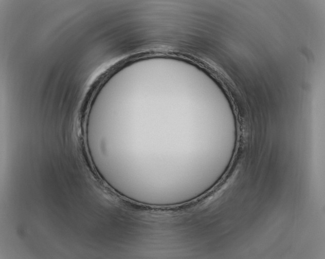 X0000113981070200910020944