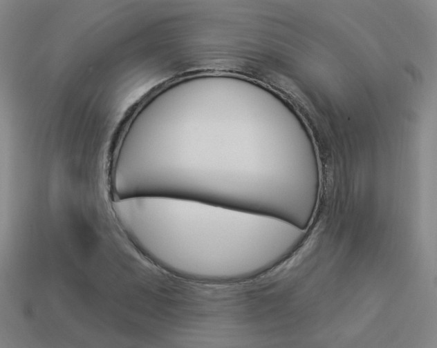 X0000113981071200910020944