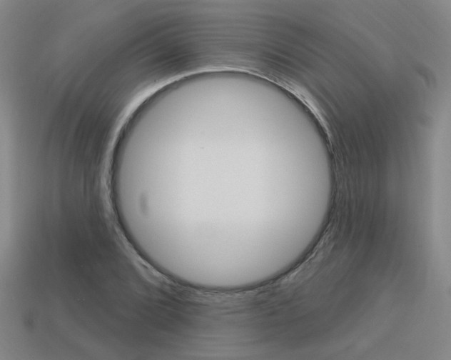 X0000113981072200910020944