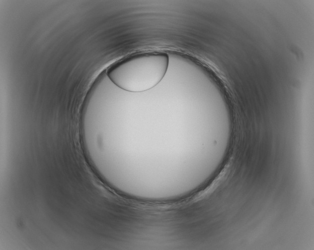 X0000113981073200910020944