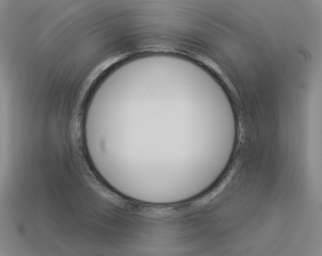 X0000113981074200910020944
