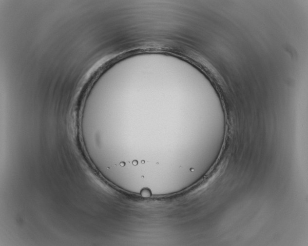X0000113981075200910020944