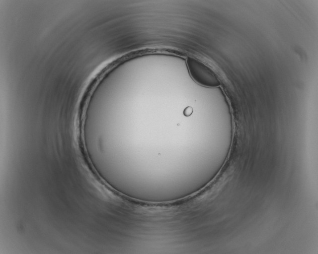 X0000113981076200910020944