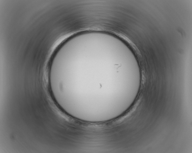 X0000113981078200910020944
