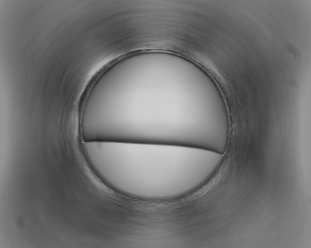 X0000113981079200910020944