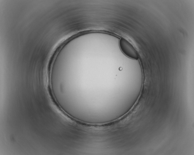 X0000113981080200910020944