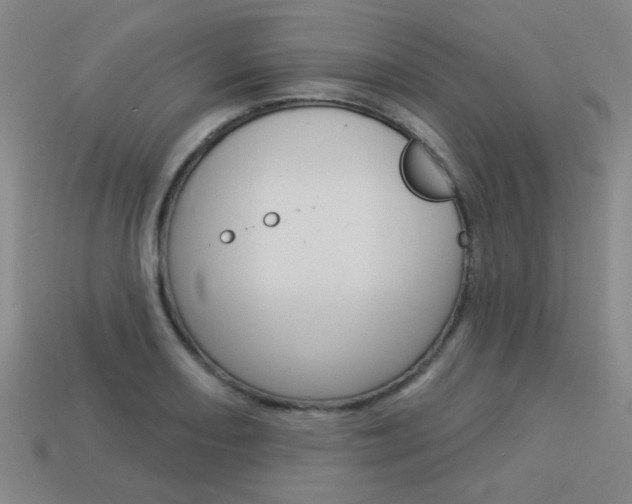 X0000113981082200910020944