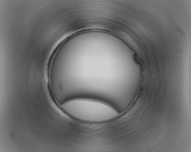 X0000113981084200910020944