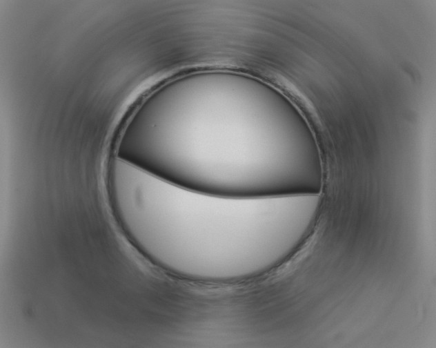 X0000113981085200910020944