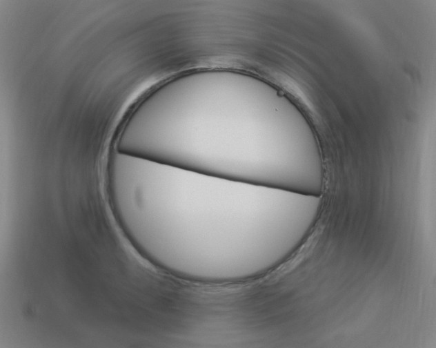 X0000113981087200910020944