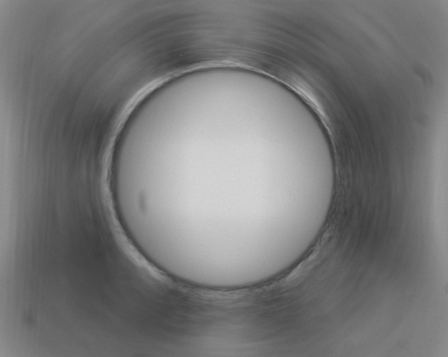 X0000113981088200910020944