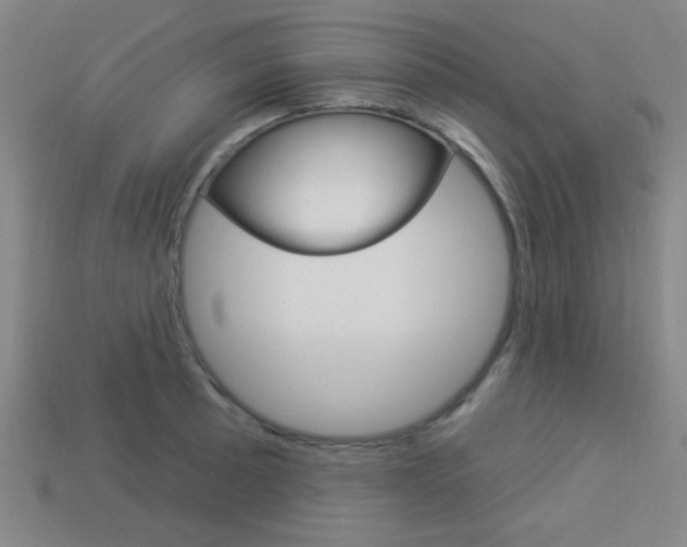 X0000113981089200910020944