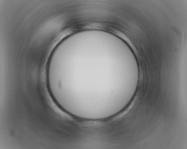 X0000113981090200910020944