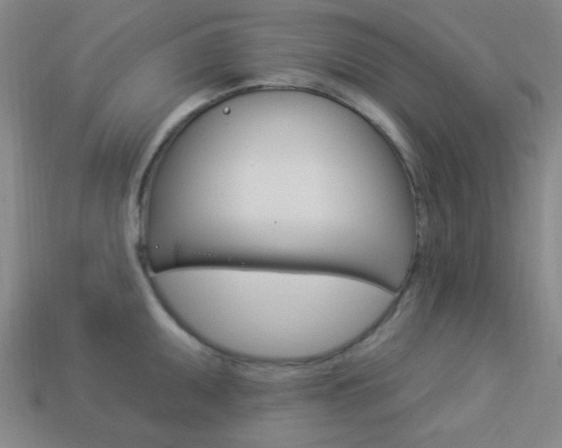 X0000113981095200910020944