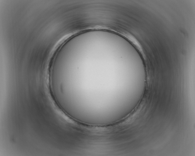 X0000113981096200910020944