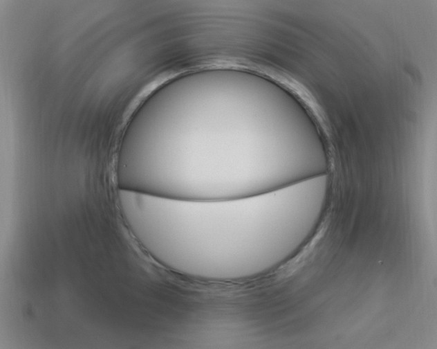 X0000113981097200910020944