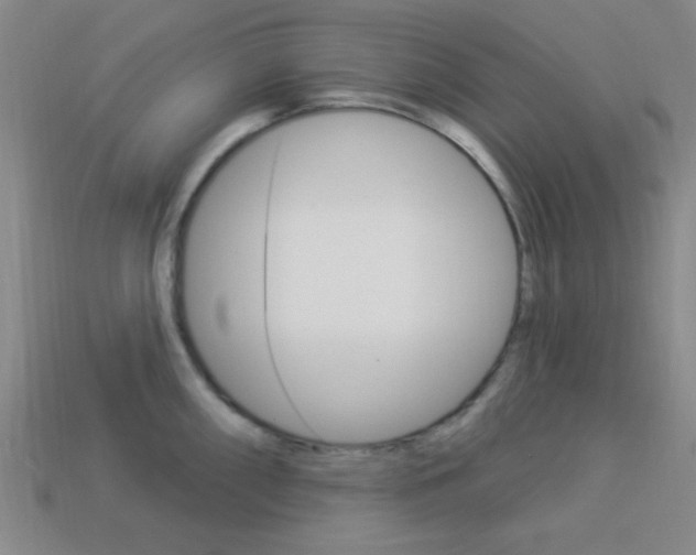 X0000113981098200910020944