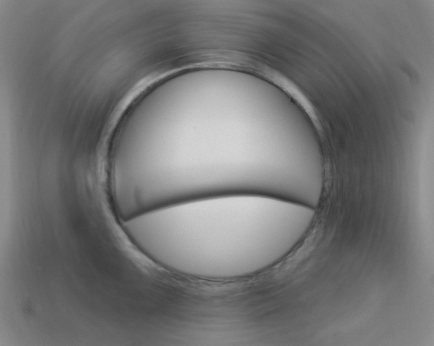 X0000113981099200910020944