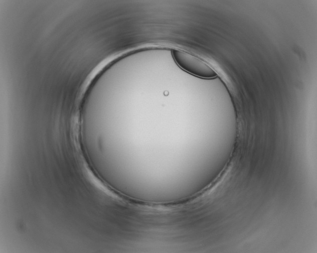 X0000113981100200910020944