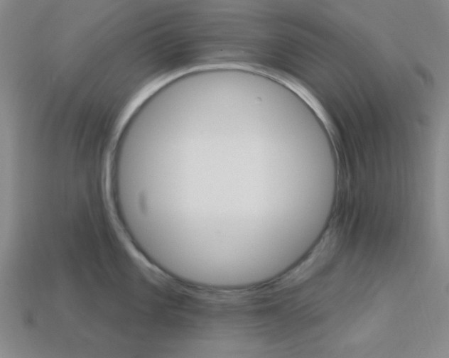 X0000113981101200910020944