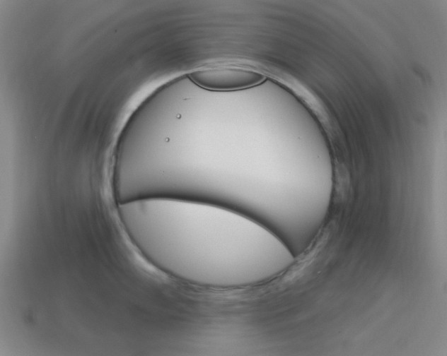 X0000113981102200910020944