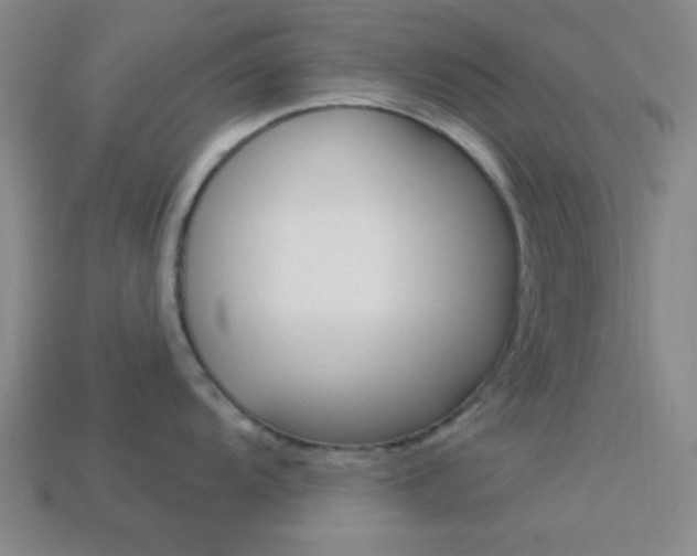 X0000113981104200910020944