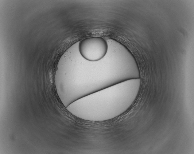 X0000113981106200910020943
