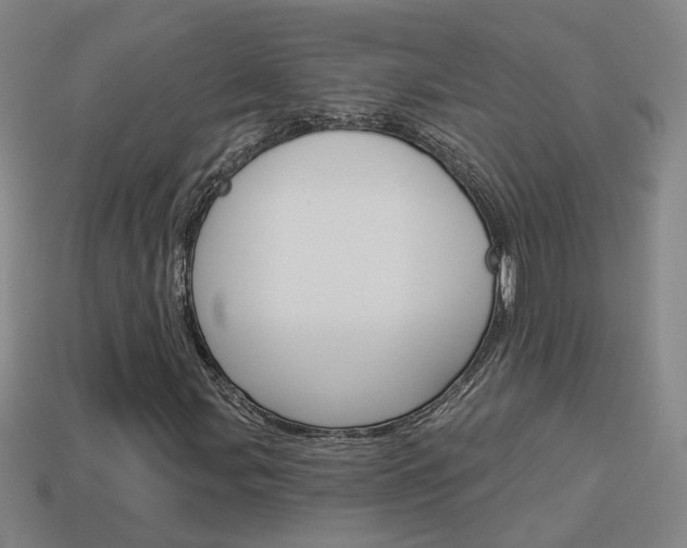 X0000113981107200910020943