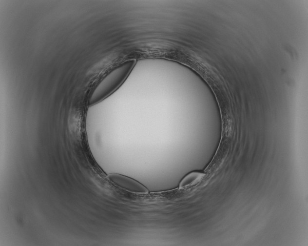 X0000113981108200910020943