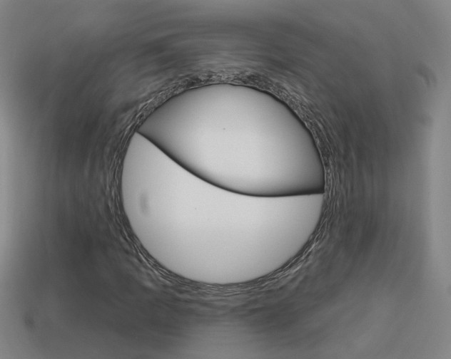 X0000113981109200910020943