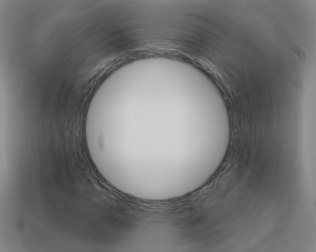 X0000113981110200910020943