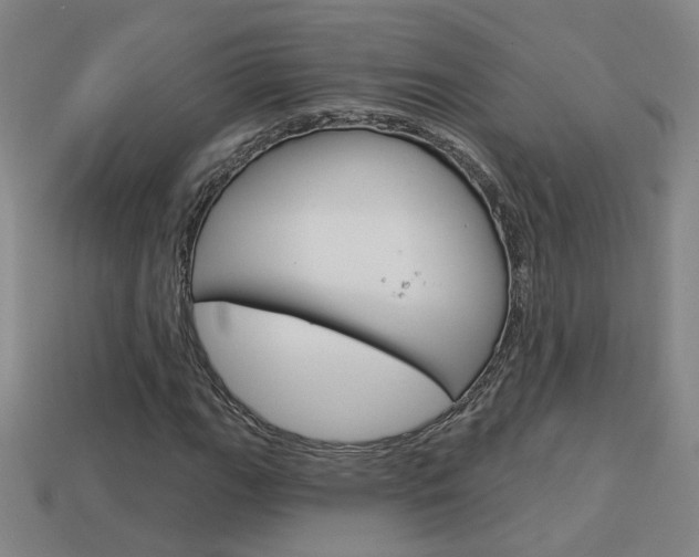 X0000113981111200910020943