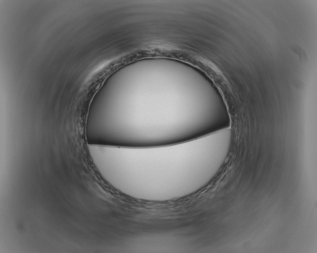 X0000113981112200910020943