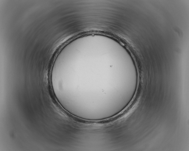 X0000113981113200910020943